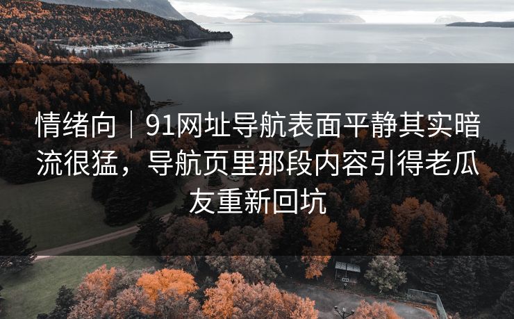情绪向｜91网址导航表面平静其实暗流很猛，导航页里那段内容引得老瓜友重新回坑
