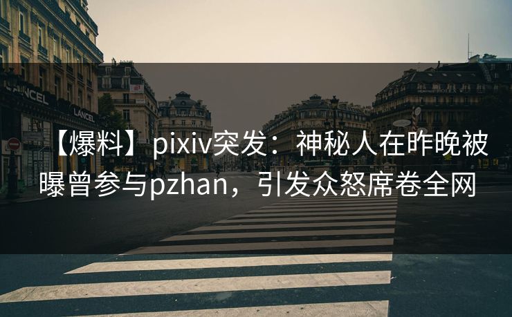 【爆料】pixiv突发：神秘人在昨晚被曝曾参与pzhan，引发众怒席卷全网
