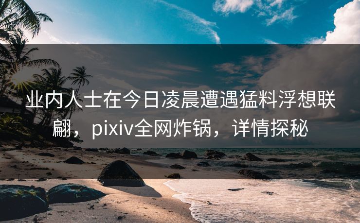 业内人士在今日凌晨遭遇猛料浮想联翩，pixiv全网炸锅，详情探秘