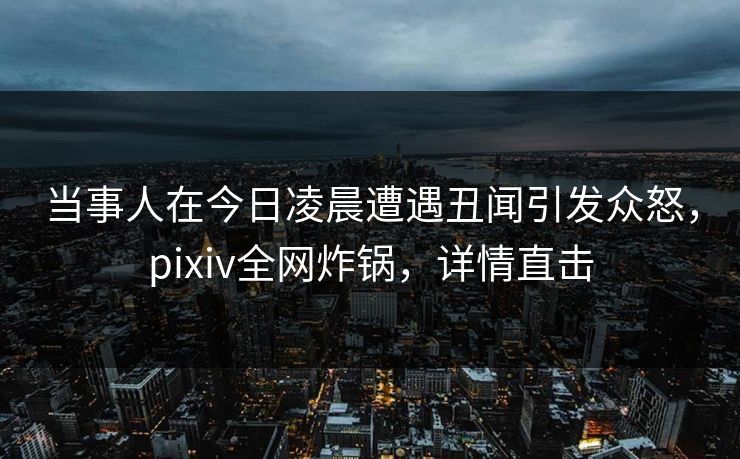 当事人在今日凌晨遭遇丑闻引发众怒，pixiv全网炸锅，详情直击