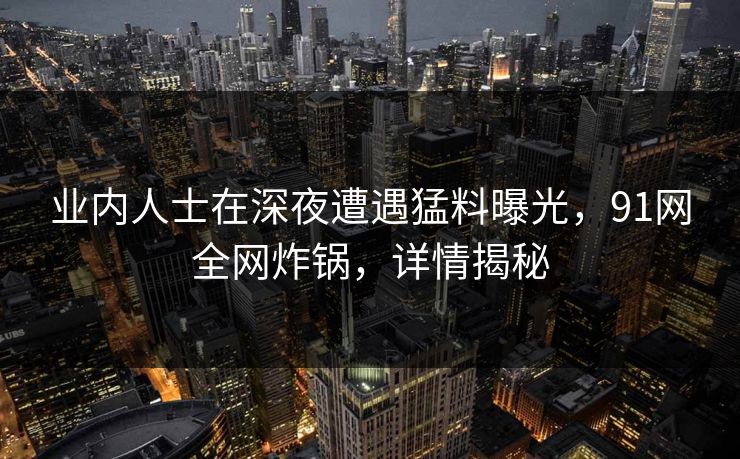 业内人士在深夜遭遇猛料曝光，91网全网炸锅，详情揭秘