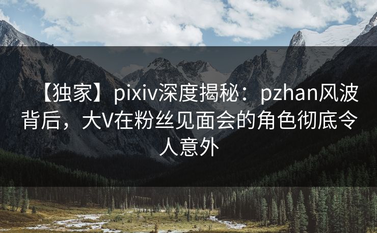 【独家】pixiv深度揭秘：pzhan风波背后，大V在粉丝见面会的角色彻底令人意外